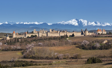 Ville de Carcassonne