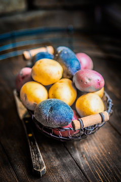 Red,blue and yellow potatoes on wooden background