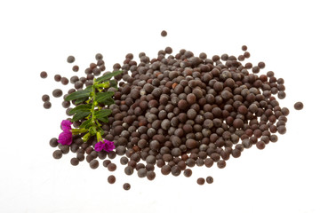 Black mustard seeds