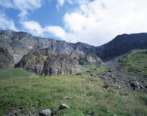 The image of beautiful nature