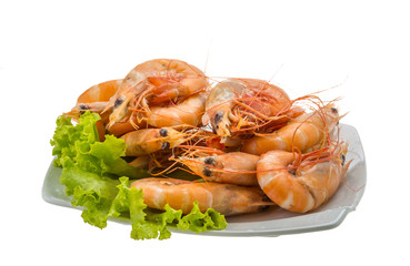 Big tiger shrimps