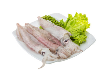 Raw calamari