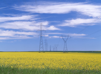 The image of beautiful nature