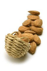 Almendra Mandorla Almond Mènnula Amande Amandel