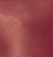 Leather texture
