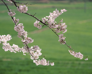 The image of beautiful scenery