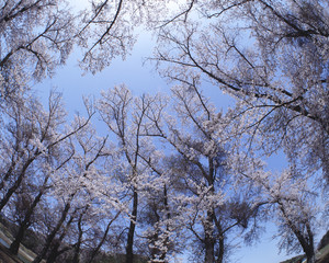 The image of beautiful scenery