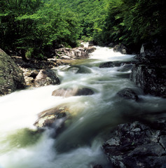 The image of beautiful nature