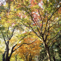 Fototapeta premium The image of beautiful scenery