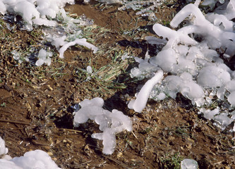 The image of beautiful nature