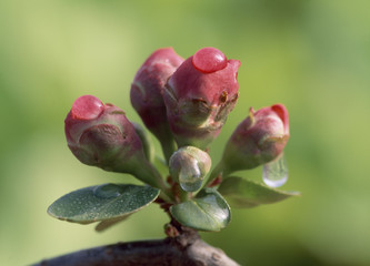 The image of beautiful nature