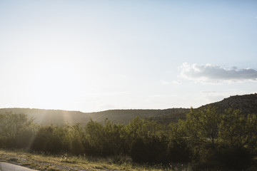 lush countryside landscape in Texas