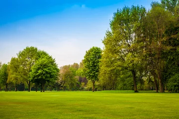 Schilderijen op glas Green landscape © EwaStudio