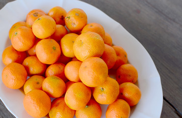 Tropical Oranges 