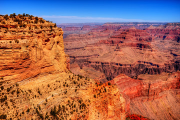 The Grand Canyon
