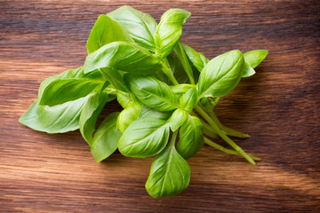 Basil.