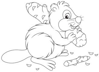 Beaver