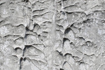 cement textures
