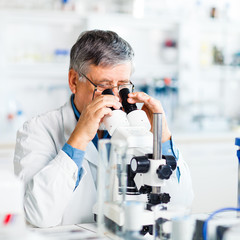senior male researcher carrying out scientific research in a lab