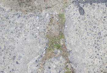 Naklejka premium Cement textures