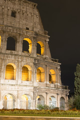 Fototapeta premium Colosseum - Rome