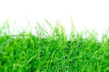 Artificial turf for garden decoration.