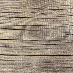 Dark wood board vector background