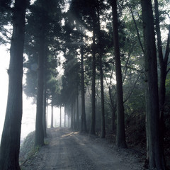 Obraz premium The image of landscape