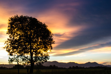 twilight in the field Thailand