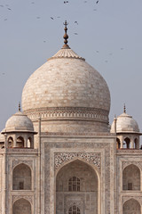 Fototapeta na wymiar Birds circling the central dome of the Taj Mahal, Agra