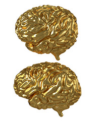 Golden Brain isolated on White Background. 3D illustration