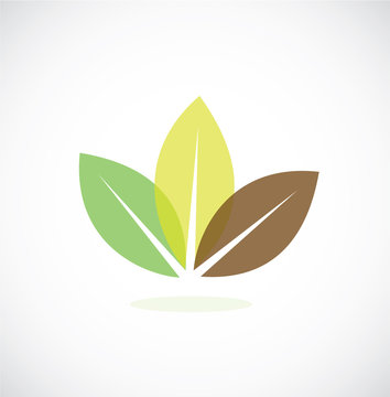leaves icon vector