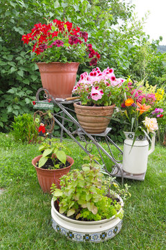 Sommerzeit im Garten, Blumentreppe