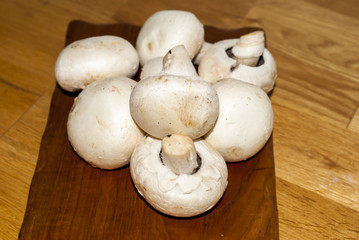 White Vegetable