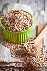 wheat grain