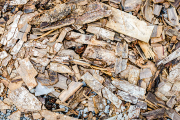 scraps of wood texture,bark wood