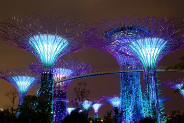 Rolgordijnen Landscape of Singapore. © tvorecxtra