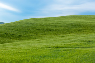 Typical Tuscany landscape, Italy - 65275512