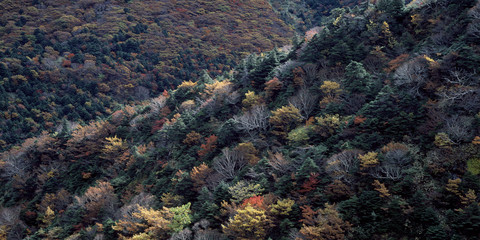 The image of beautiful scenery