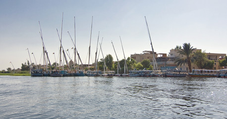 Berth on the shore Nile with plenty of sailing ships © Oleksii Nykonchuk