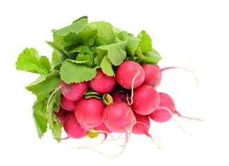 Fresh Radishes Isolated on White Background