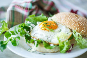 fried egg