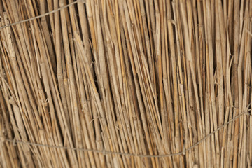 Texture beach umbrella