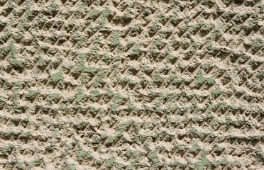 Green rough plaster on wall