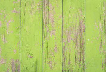 Green wood background - Wooden pattern fence ecological