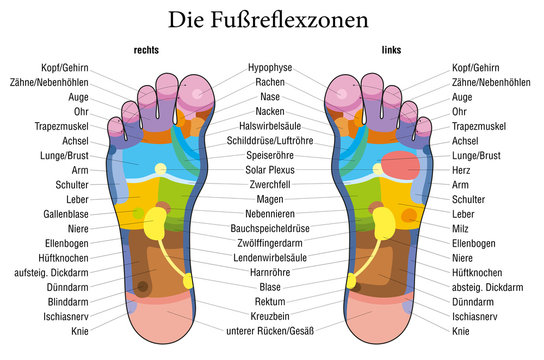 Foot reflexology chart german description
