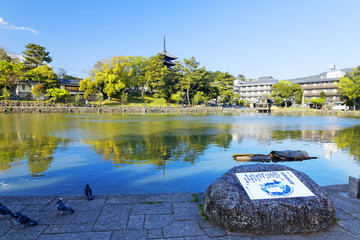 Nara, Japan at Sarusawa Pond.