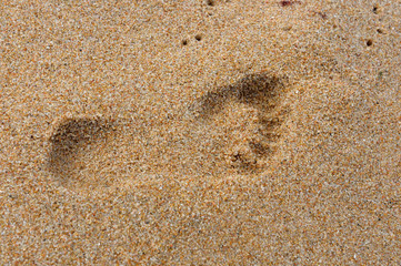 Footprint