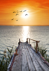Naklejka na ściany i meble embarcadero de madera en el mar mirando el amanecer