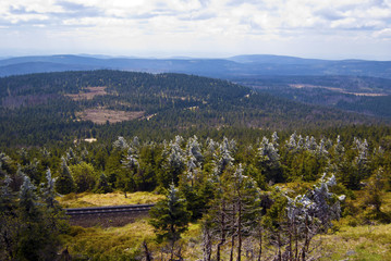 Fototapeta premium Harz Wald Schiene